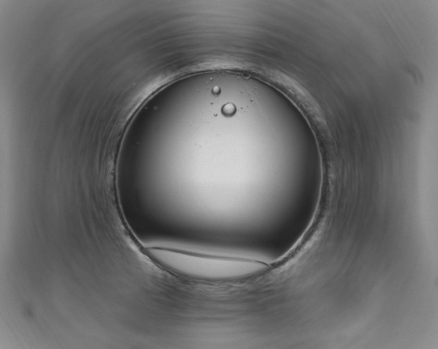 X0000111131185200906301204