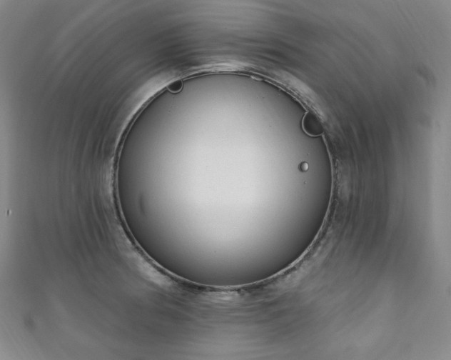 X0000111131186200906301204