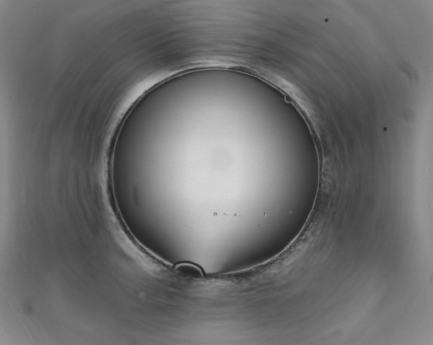 X0000111131187200906301204