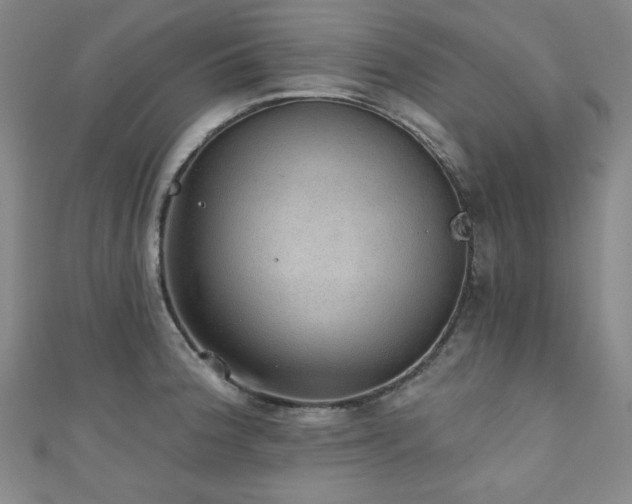 X0000111131188200906301204