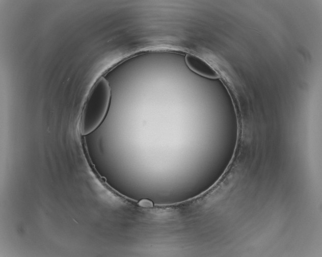 X0000111131189200906301204