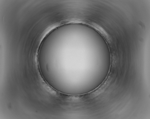 X0000111131190200906301204