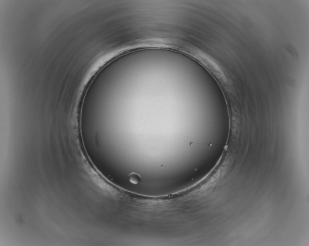 X0000111131192200906301204