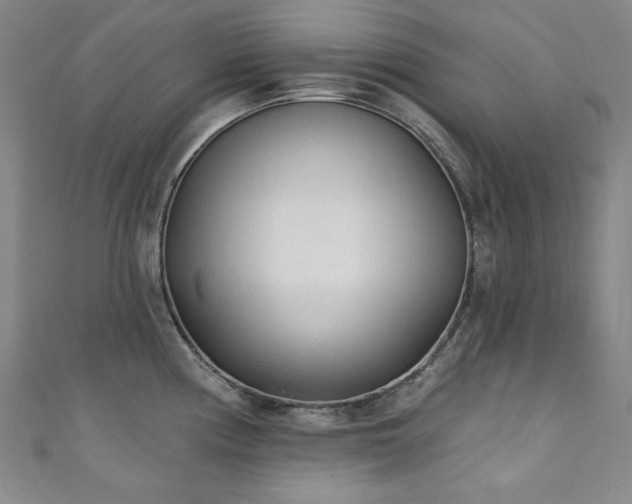X0000111131194200906301204