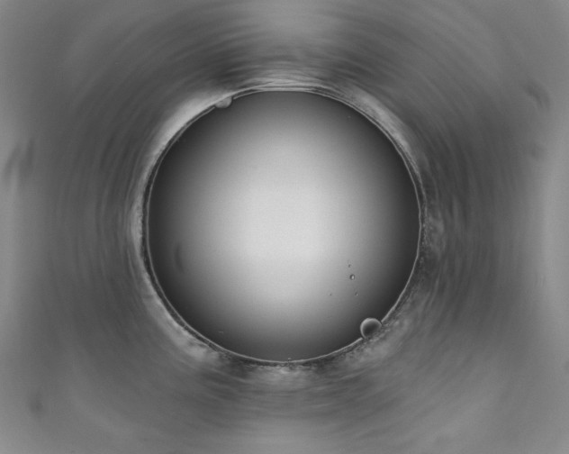 X0000111131195200906301204