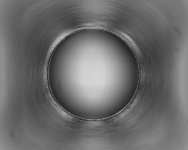 X0000111131196200906301204