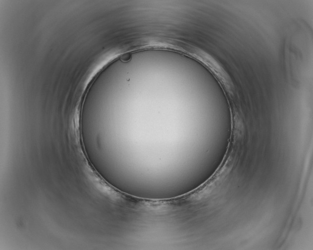 X0000111131198200906301204