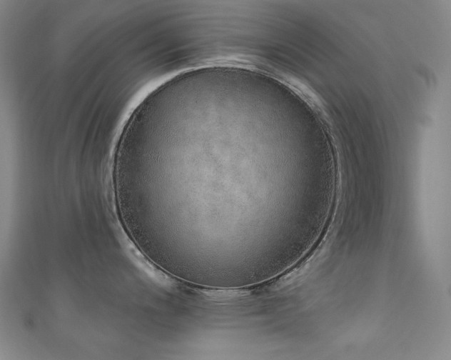 X0000111131200200906301204