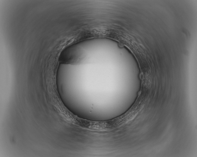 X0000111131201200906301203