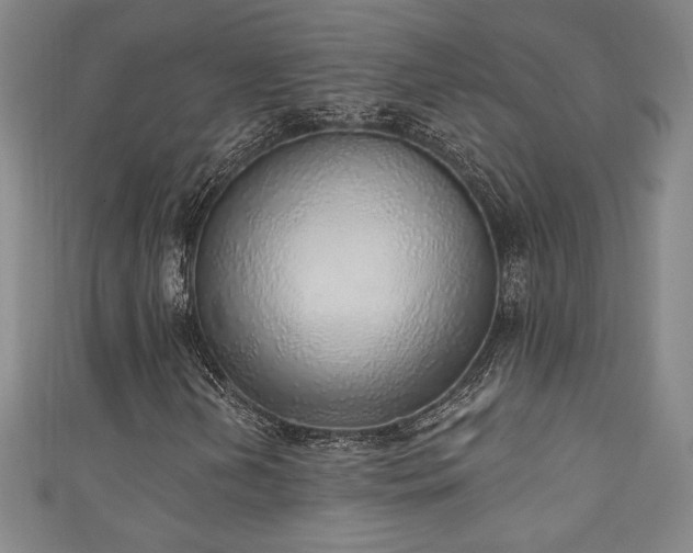 X0000111131202200906301203