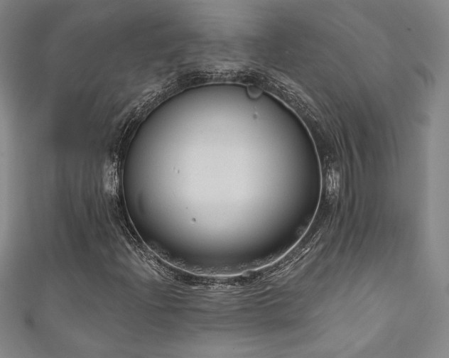 X0000111131204200906301203