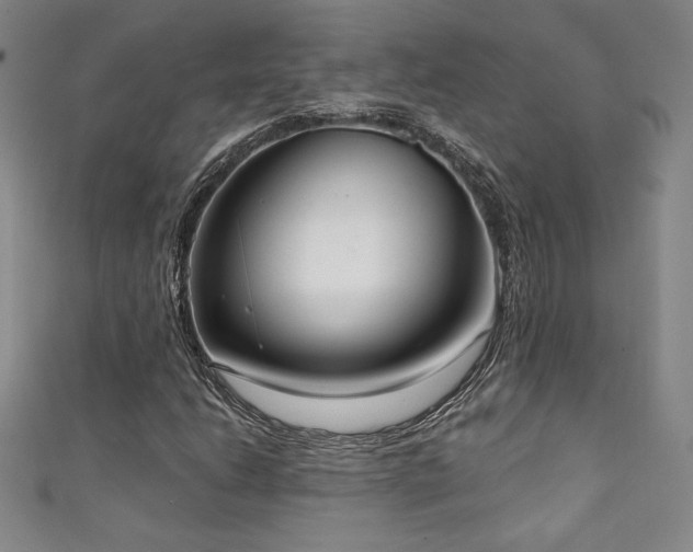 X0000111131206200906301203