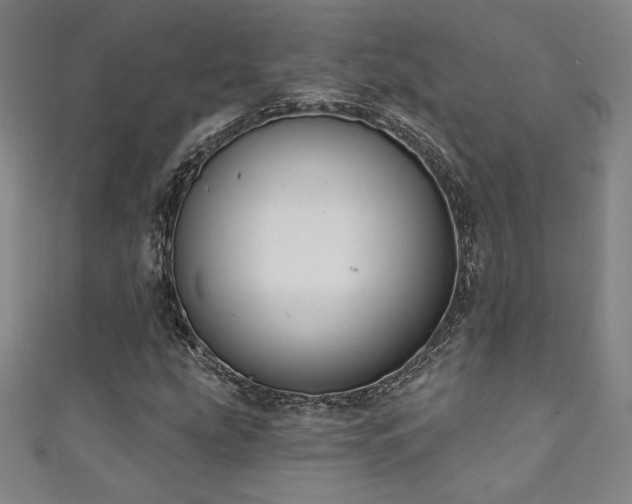 X0000111131207200906301203