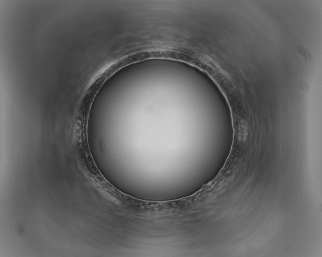 X0000111131208200906301203