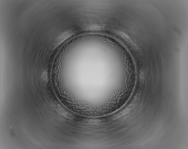 X0000111131209200906301203