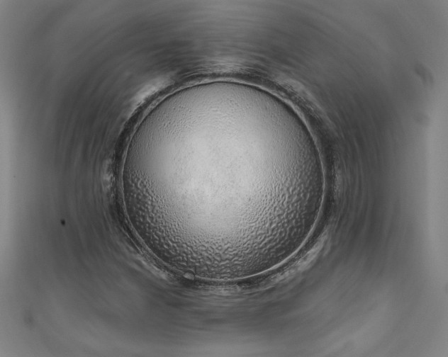 X0000111131210200906301203