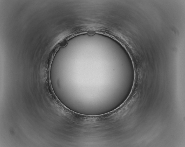 X0000111131211200906301203