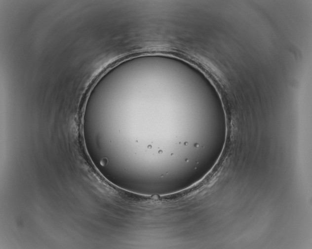 X0000111131212200906301203