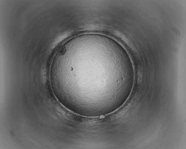 X0000111131213200906301203