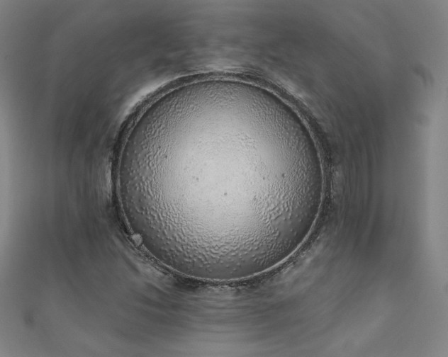 X0000111131214200906301203