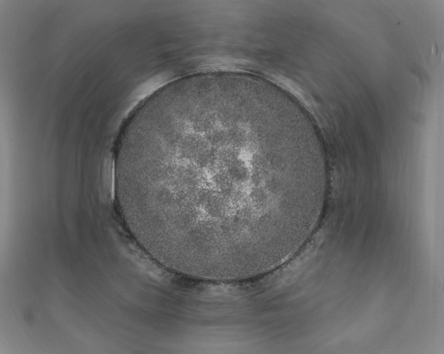 X0000111131219200906301203