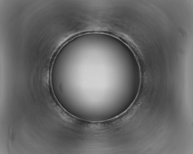 X0000111131220200906301203