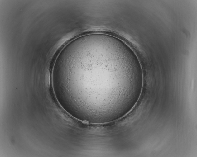X0000111131221200906301203
