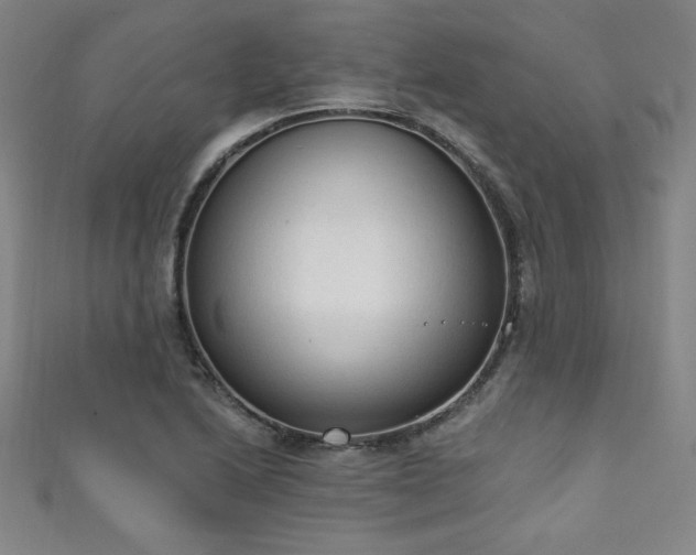 X0000111131222200906301203