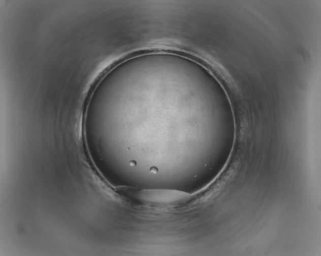 X0000111131224200906301203