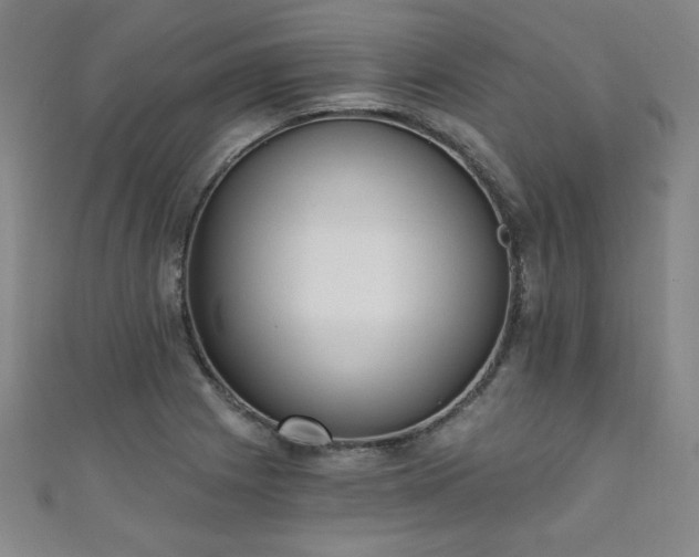 X0000111131225200906301203