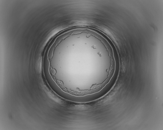 X0000111131227200906301203