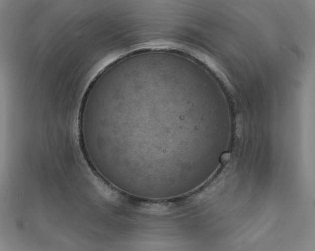 X0000111131229200906301203