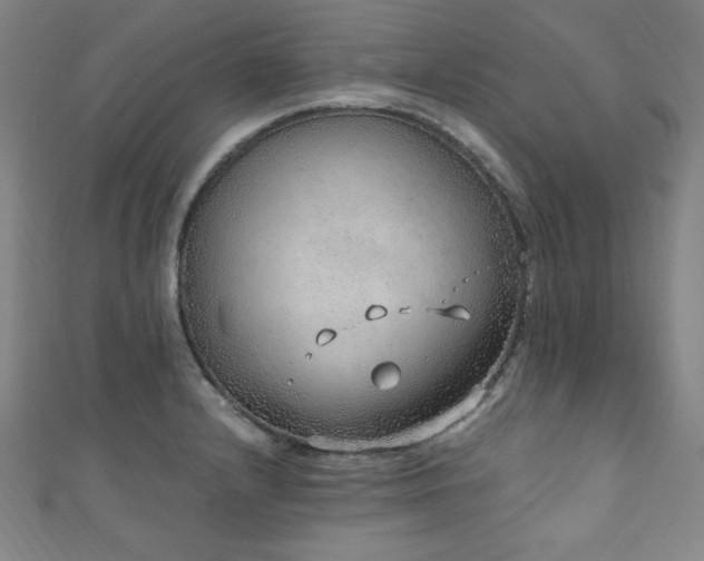 X0000111131232200906301203
