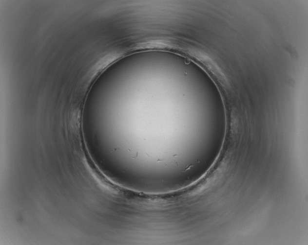 X0000111131233200906301203