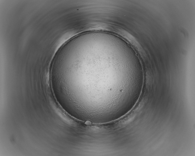 X0000111131234200906301203