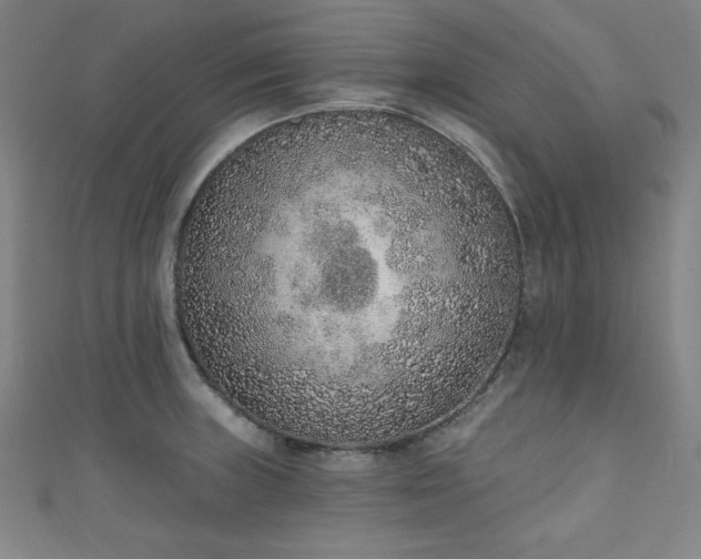 X0000111131235200906301203