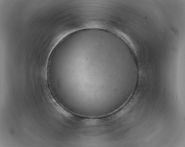 X0000111131236200906301203