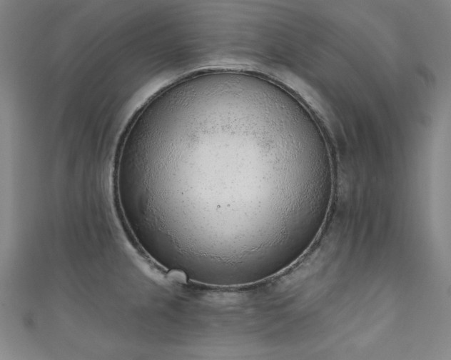 X0000111131237200906301203