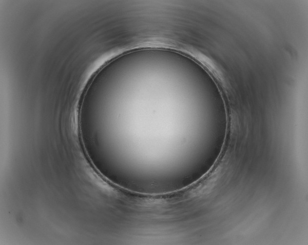 X0000111131238200906301203