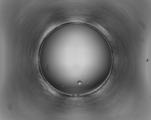 X0000111131240200906301203