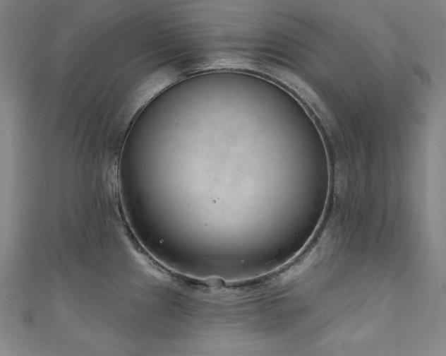 X0000111131241200906301204