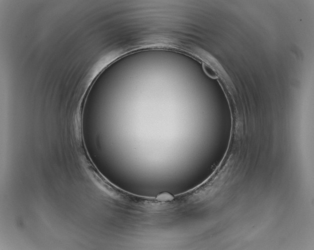 X0000111131242200906301204