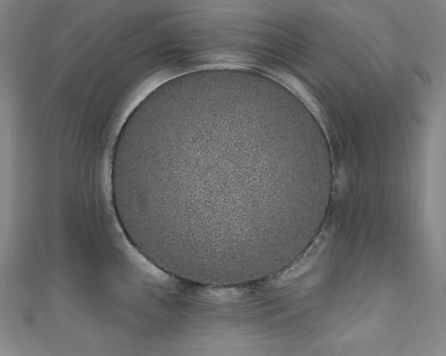 X0000111131243200906301204