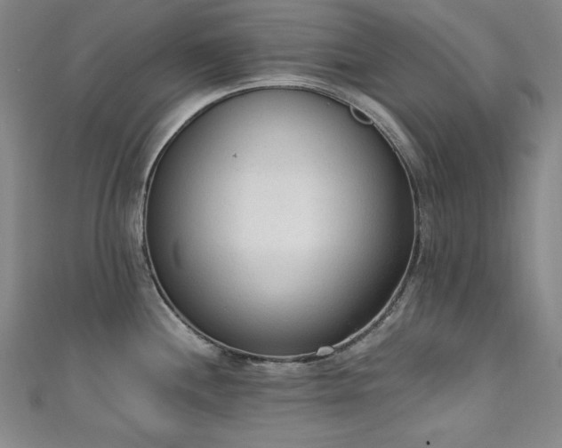 X0000111131244200906301204