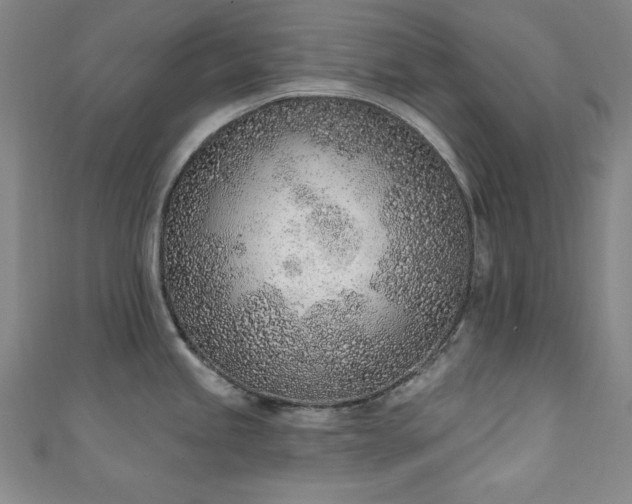 X0000111131245200906301204