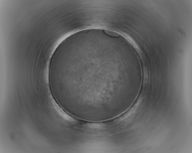 X0000111131246200906301204