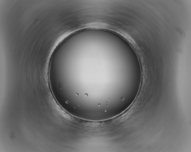 X0000111131248200906301204