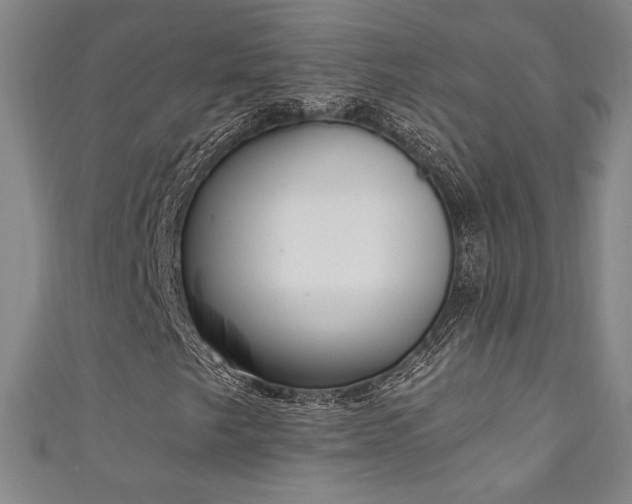 X0000111131249200906301203