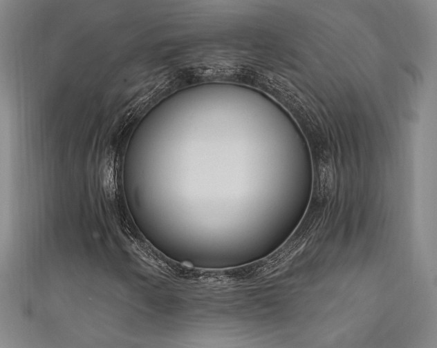X0000111131250200906301203