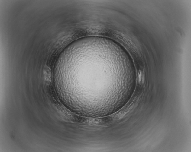 X0000111131251200906301203